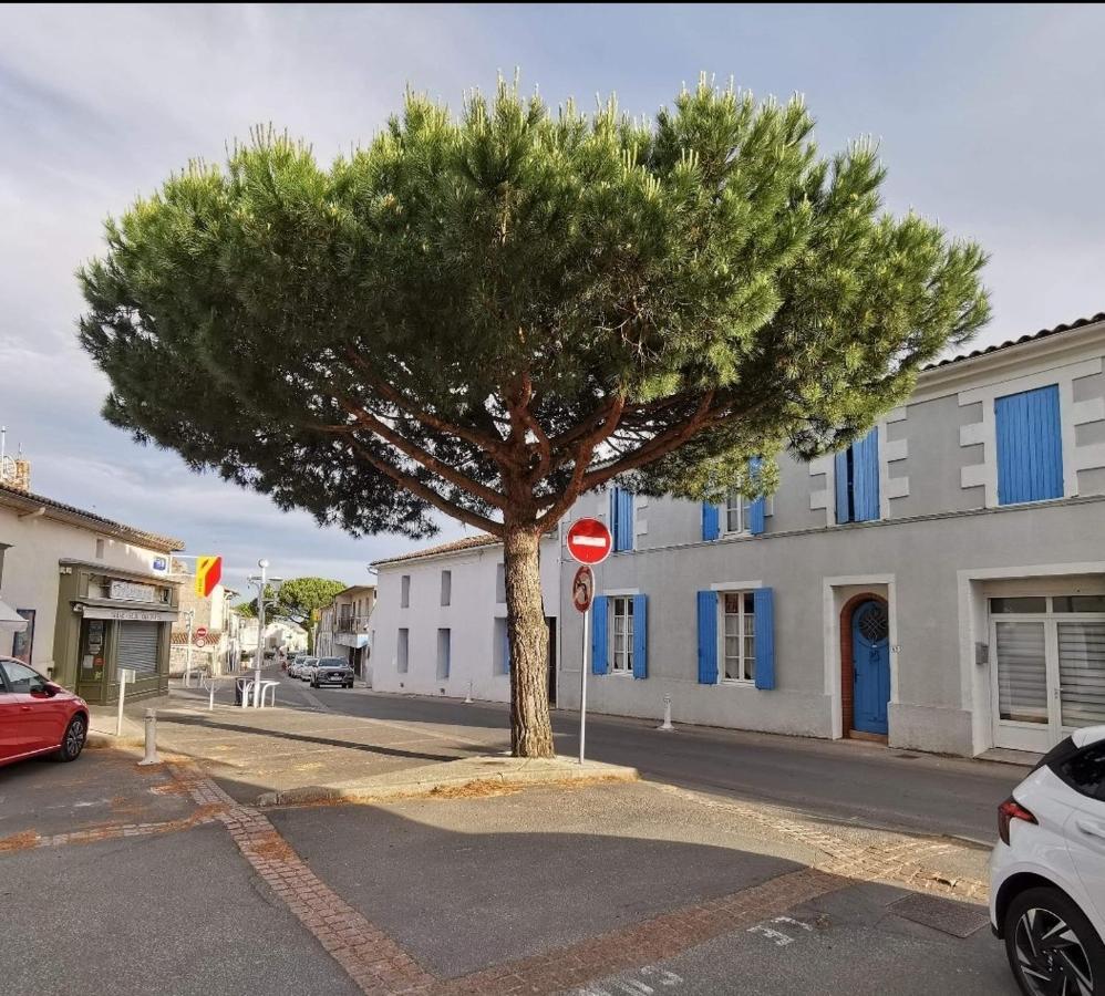 Charmant Appartement Dans Centre Meschers/Gironde Dış mekan fotoğraf